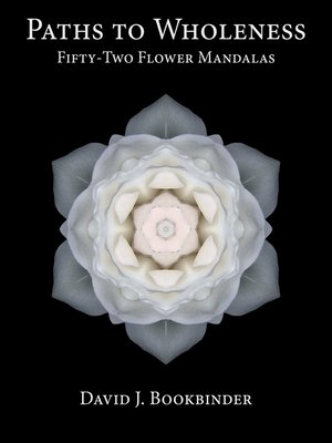 cover image of Paths to Wholeness